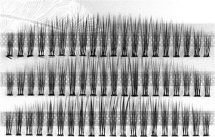 Пучки безузелковые IRISK 10-15 волосков, Ø0,07 C-изгиб, микс NEW Р235-01 