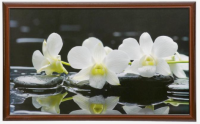 Картина "Белые цветы" 67х107 см